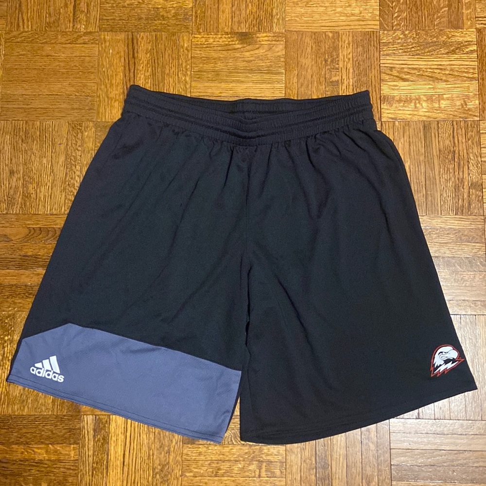 Adidas Men’s Black Team Shorts